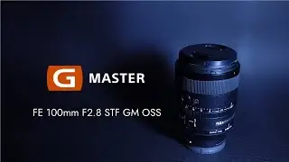 sony GM　STFレンズのレビュー　SONY SEL100F28GM　   究極のぼけ　 FE100mm F2.8 STF GM OSS