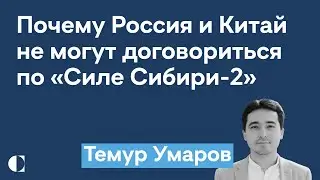 Почему Россия и Китай не могут договориться по «Силе Сибири-2» — Темур Умаров @zhivoygvozd