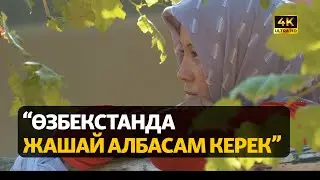 Сагынганда ыйлап алабыз. Өзбекстандын Араванга келин болгон кыздары | ДАНИСТЕ