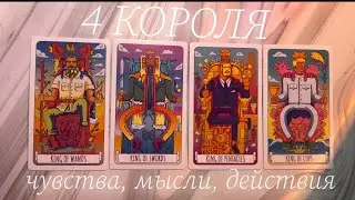 4 КОРОЛЯ 🔥 ЧУВСТВА, МЫСЛИ, ДЕЙСТВИЯ 🪭 нет общения/есть общение❗️