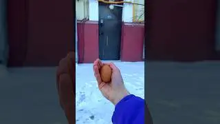 Соскучились по яйцам ? 🥚