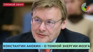 Константин Анохин – о темной энергии мозга