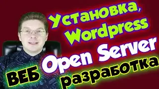 Создание сайта Wordpress на Open Server / Веб разработка