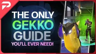 Everything You Need To Know About Gekko! - Valorant New Agent Guide