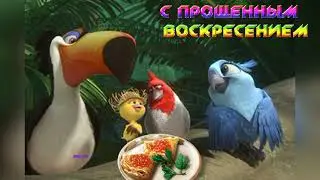 C Прощенным Воскресением! Прошу прощения!