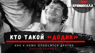 Кто такой «Додик» в тюремном мире и как к нему относятся другие заключенные?