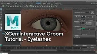 Eyelashes - Maya XGen Interactive Groom Tutorial