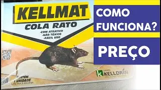 Cola rato, ratoeira adesiva