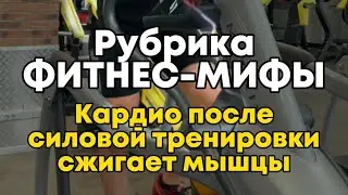 «Фитнес-мифы» Часть 3. Кардио после силовой тренировки сжигает мышцы