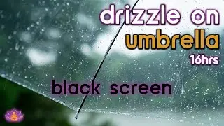 [Black Screen] Drizzle on Umbrella No Thunder | Rain Ambience | Rain Sounds for Sleeping