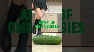 Pea's Chelsea Knee-High Boots Crushing Food! Oddly Satisfying! ASMR