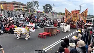 Sydney Cabramatta moon festival 2024 girls lion dance on Bench by Yun Yee Tong #liondance2024