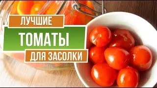 Лучшие Томаты для засолки ✔️ Помидоры для засолки 🍅