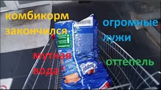 Выгодно ли содержать кроликов?