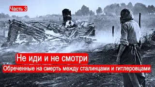 Не иди и не смотри. Обреченные на смерть между сталинцами и гитлеровцами.