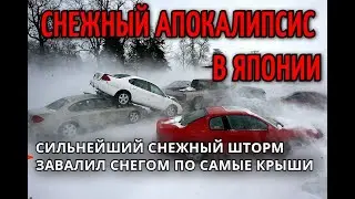 Снегопады в Японии  На Хоккайдо обрушился снежный шторм, дома завалило по крыши!