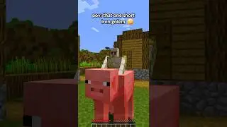 POV: That One Short Iron Golem in Minecraft 😂 (ALL MY FELLAS) 