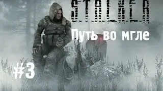 Сталкер Путь во мгле #3 [Пропавший Связной и Подземелье]