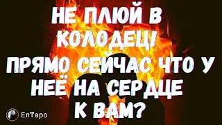 ТАРО ДЛЯ МУЖЧИН. ГАДАНИЕ ТАРО ОНЛАЙН. НЕ ПЛЮЙ В КОЛОДЕЦ! ПРЯМО СЕЙЧАС ЧТО У НЕЁ НА СЕРДЦЕ К ВАМ?