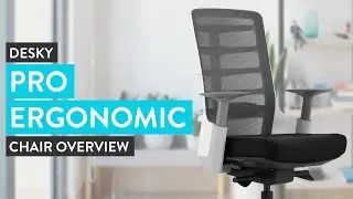 Desky Pro Ergonomic Chair Overview