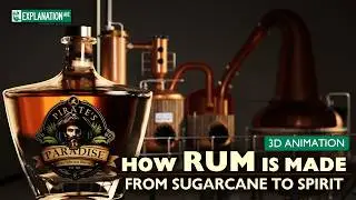 TASTING PARADISE - How Caribbean Rum Is Made