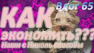 СОДЕРЖАНИЕ ЙОРКА - ЭТО ДОРОГО? Как экономить? Наши с Николь способы.