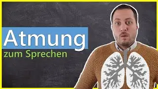 Sprechen und Stimme | Wie du Laute zum Sprechen produzierst