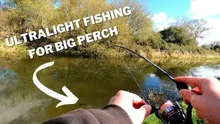 Using The Ned Rig To Catch BIG Perch