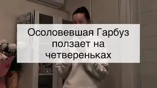 Эх, жалко - королевство маловато, разгуляться негде! Гарбуз хочет гулять и собирать букеты с паствы