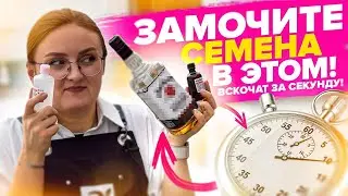 У ВАС ВЗОЙДУТ ЛЮБЫЕ СЕМЕНА если знать ЭТО! Стимуляторы роста для семян, замачивание семян