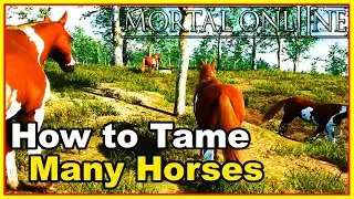 How to Tame Multiple Horses at the Same Time in Mortal Online 2 + Easy Gold, Clades XP and Standing