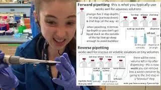 Pipetting viscous liquids - reverse pipetting, etc.
