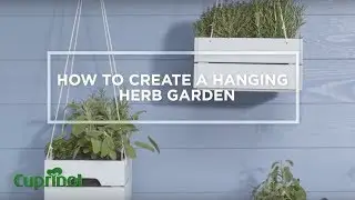 How To Create A Hanging Herb Garden | Cuprinol Garden Ideas