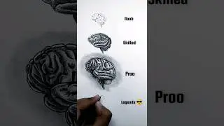 how to draw human brain #shorts #drawing #art #brain