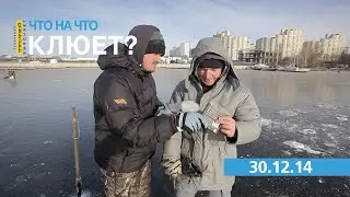 ЧТО НА ЧТО клюет? Серия 33