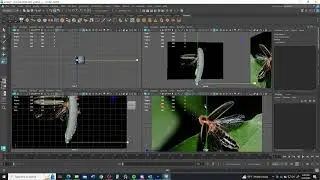 Modeling a Simplified FIREFLY in Autodesk Maya 2024. Part 1: Getting Started