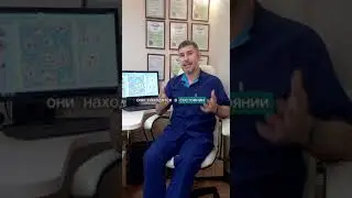 🤷‍♂️ Кто вырабатывает вещества, разрушающие хрящ суставов?