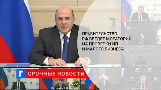 Правительство РФ введет мораторий на проверки ИП и малого бизнеса