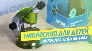 Микроскоп для детей Микромед Атом 640 крат