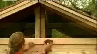 How to Build a Sauna: Cedar sauna roof