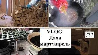 Дачный VLOG/Дополнительный кот?/Готовимся к сезону #ОльгаРоголева