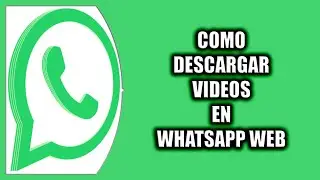 Cómo descargar videos en WhatsApp Web