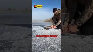 #МолодежкаTV Идеальное Время Для Рыбалки 🎣🔥 #pov