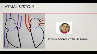 Atrial Systole of the Cardiac Cycle