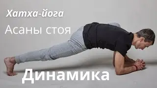 Йога асаны стоя динамика