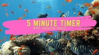 5 Minute Timer with Relaxing Music 2021 -  Aquarium