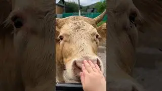 КАРИНА В ДЕРЕВНЕ😍 