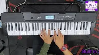 D292 Davis 61 keys touch response kb piano