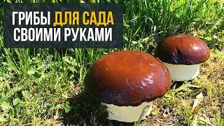 Грибы из Гипса на Садовый участок Своими руками / Рукоделочки