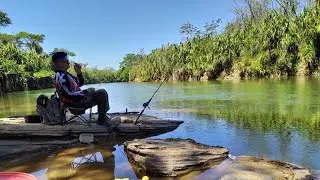 Pescaria INCRÍVEL de PIAU, cachorras mandi na beira do Rio Maranhão em Goiás #MereroFishing